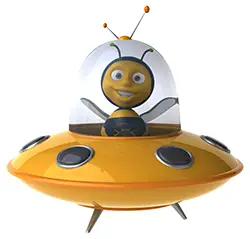 Fun bee