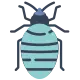 bed-bugs