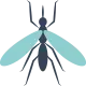 mosquitoes