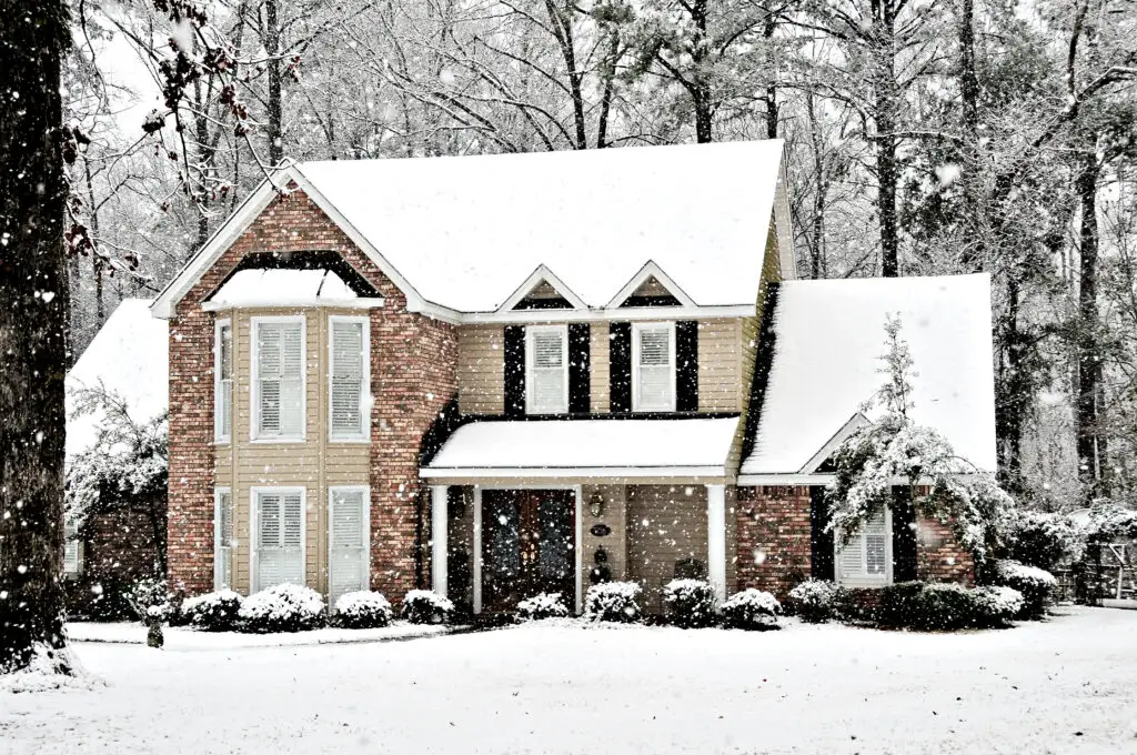 Prevent Bugs in Your Home During Cold