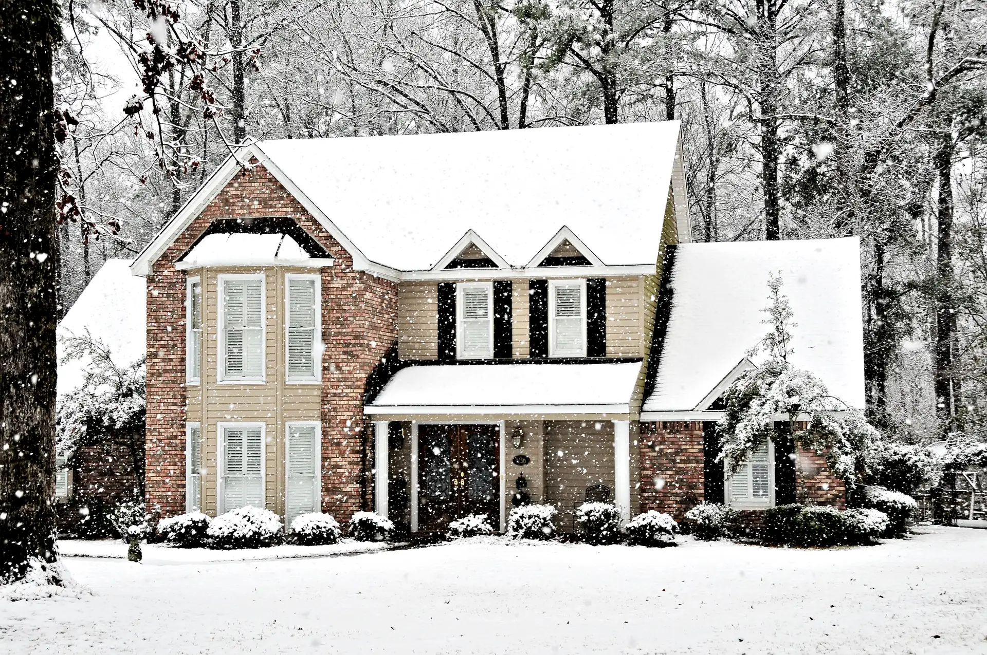 Prevent Bugs in Your Home During Cold