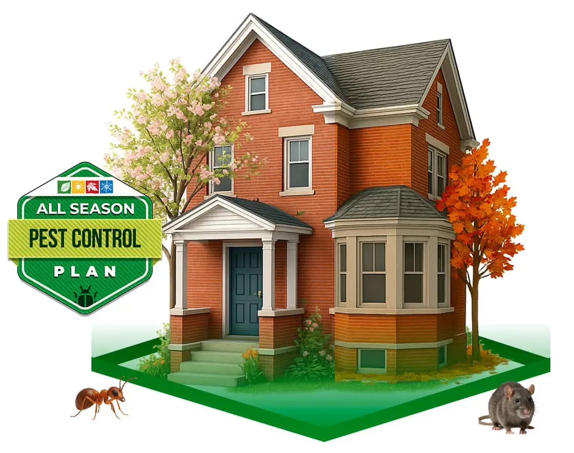 Allseason — Eco Tech Pest Control Chicago
