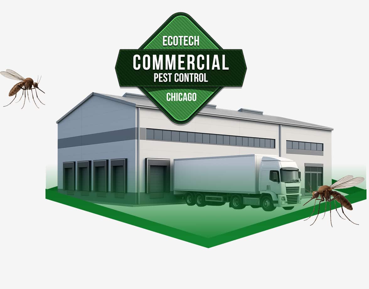 commercial pest control