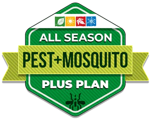 Pest Plus — Eco Tech Pest Control Chicago