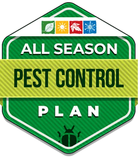 Pestcontrol — Eco Tech Pest Control Chicago